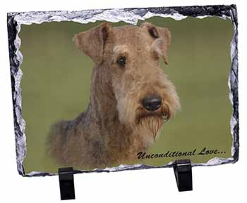 Airedale Terrier with Love, Stunning Photo Slate