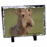 Airedale Terrier with Love, Stunning Photo Slate