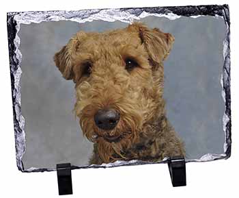 Airedale Terrier Dog, Stunning Photo Slate