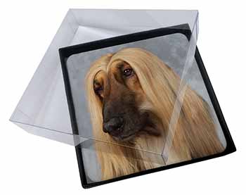 4x Afghan Hound Dog Picture Table Coasters Set in Gift Box