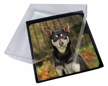 4x Australian Kelpie Dog Picture Table Coasters Set in Gift Box