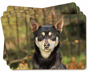 Australian Kelpie Dog Picture Placemats in Gift Box