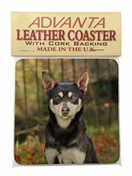 Australian Kelpie Dog Single Leather Photo Coaster