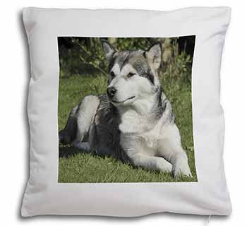 Alaskan Malamute Dog Soft White Velvet Feel Scatter Cushion