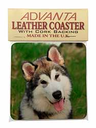 Alaskan Malamute Dog Single Leather Photo Coaster