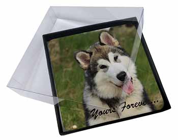 4x Alaskan Malamute "Yours Forever..." Picture Table Coasters Set in Gift Box