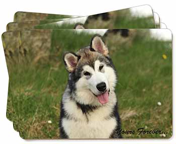 Alaskan Malamute "Yours Forever..." Picture Placemats in Gift Box