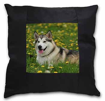 Alaskan Malamute Dog Black Satin Feel Scatter Cushion