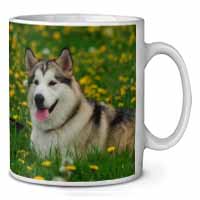 Alaskan Malamute Dog Ceramic 10oz Coffee Mug/Tea Cup