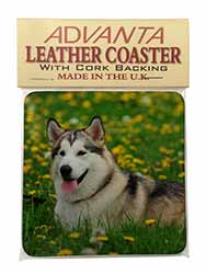 Alaskan Malamute Dog Single Leather Photo Coaster