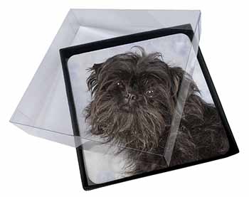 4x Affenpinscher Dog Picture Table Coasters Set in Gift Box