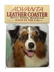 Australian Shepherd Dog Single Leather Photo Coaster