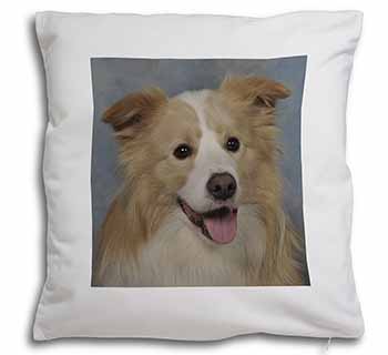 Australian Shepherd Dog Soft White Velvet Feel Scatter Cushion
