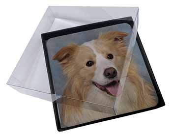 4x Australian Shepherd Dog Picture Table Coasters Set in Gift Box