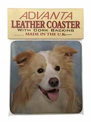 Australian Shepherd Dog Single Leather Photo Coaster