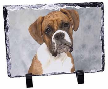 Boxer Dog, Stunning Photo Slate