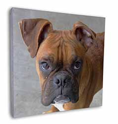 Red Boxer Dog Square Canvas 12"x12" Wall Art Picture Print