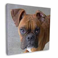 Red Boxer Dog Square Canvas 12"x12" Wall Art Picture Print