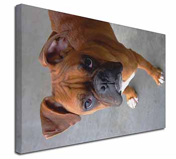 Red Boxer Dog Canvas X-Large 30"x20" Wall Art Print