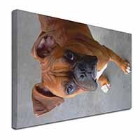 Red Boxer Dog Canvas X-Large 30"x20" Wall Art Print