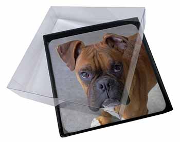 4x Red Boxer Dog Picture Table Coasters Set in Gift Box