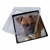 4x Red Boxer Dog Picture Table Coasters Set in Gift Box
