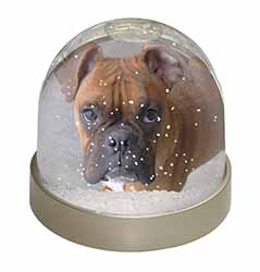 Red Boxer Dog Snow Globe Photo Waterball