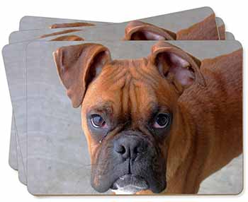 Red Boxer Dog Picture Placemats in Gift Box