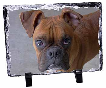 Red Boxer Dog, Stunning Photo Slate