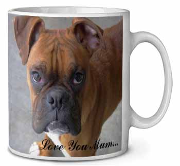 Red Boxer Dog 