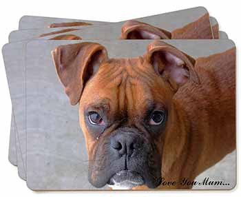 Red Boxer Dog 