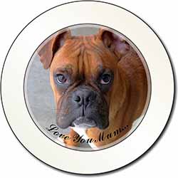 Red Boxer Dog 