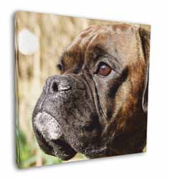 Brindle Boxer Dog Square Canvas 12"x12" Wall Art Picture Print