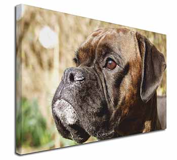 Brindle Boxer Dog Canvas X-Large 30"x20" Wall Art Print