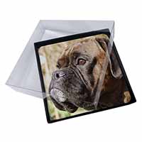 4x Brindle Boxer Dog Picture Table Coasters Set in Gift Box