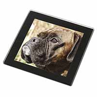 Brindle Boxer Dog Black Rim High Quality Glass Coaster