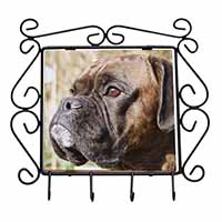 Brindle Boxer Dog Wrought Iron Key Holder Hooks