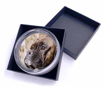 Brindle Boxer Dog Glass Paperweight in Gift Box