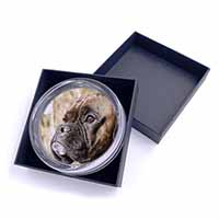 Brindle Boxer Dog Glass Paperweight in Gift Box