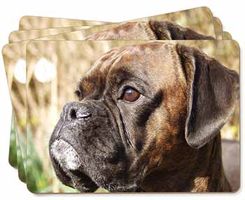 Brindle Boxer Dog Picture Placemats in Gift Box