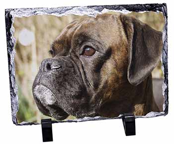 Brindle Boxer Dog, Stunning Photo Slate