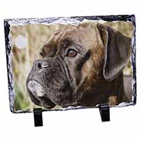 Brindle Boxer Dog, Stunning Photo Slate