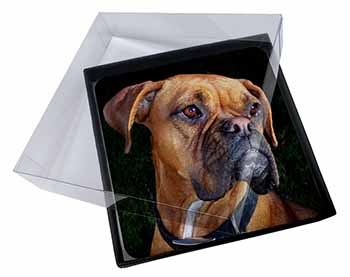 4x Boxer Dog Picture Table Coasters Set in Gift Box