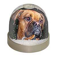 Boxer Dog Snow Globe Photo Waterball