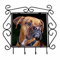 Boxer Dog Wrought Iron Key Holder Hooks