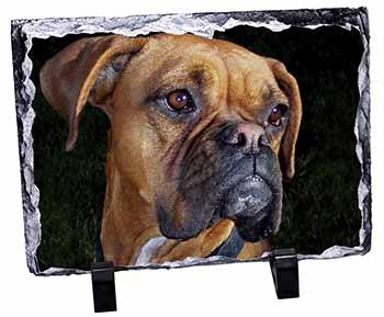 Boxer Dog, Stunning Photo Slate