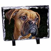 Boxer Dog, Stunning Photo Slate