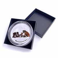 Boxer Dog-Love Glass Paperweight in Gift Box