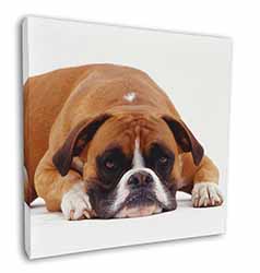 Red and White Boxer Dog Square Canvas 12"x12" Wall Art Picture Print