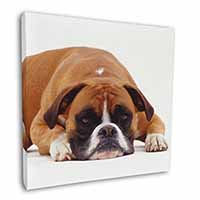 Red and White Boxer Dog Square Canvas 12"x12" Wall Art Picture Print